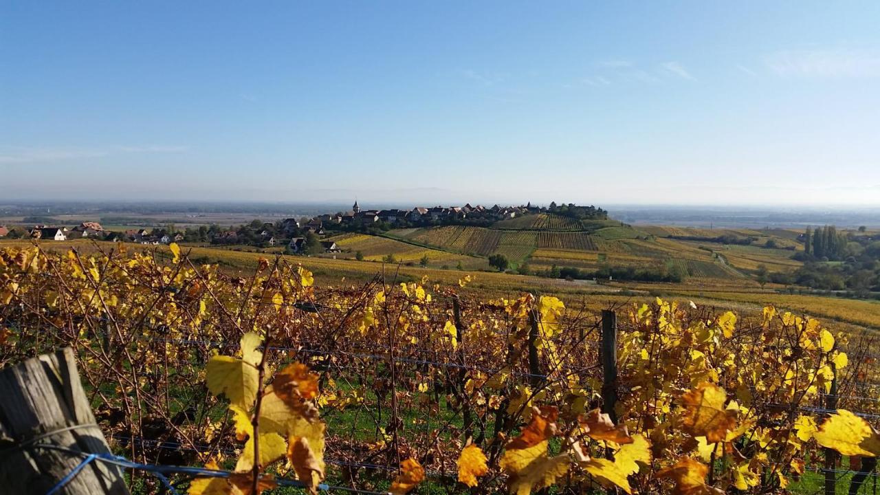 Villa Le Zell Zellenberg Esterno foto